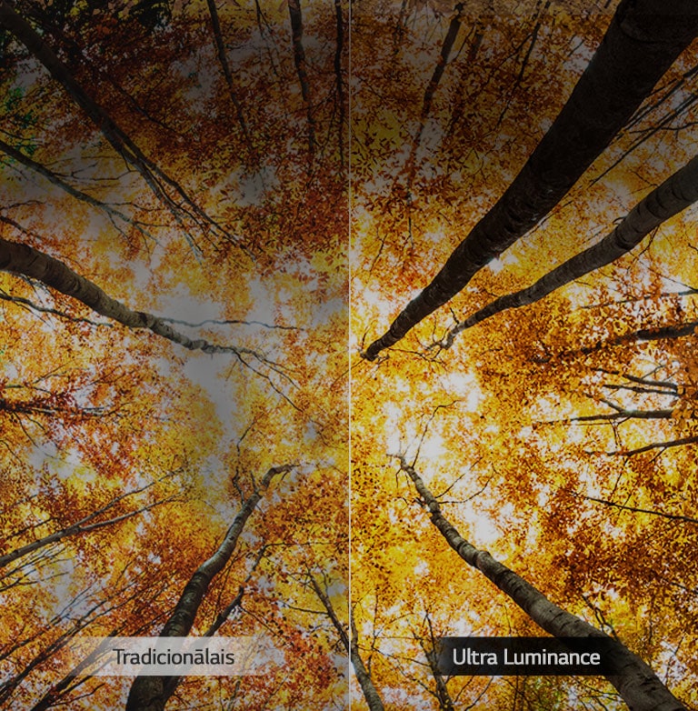 Palielināts maksimālais spožums<br>2