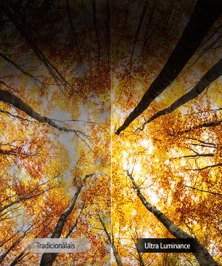 Palielināts maksimālais spožums<br>2