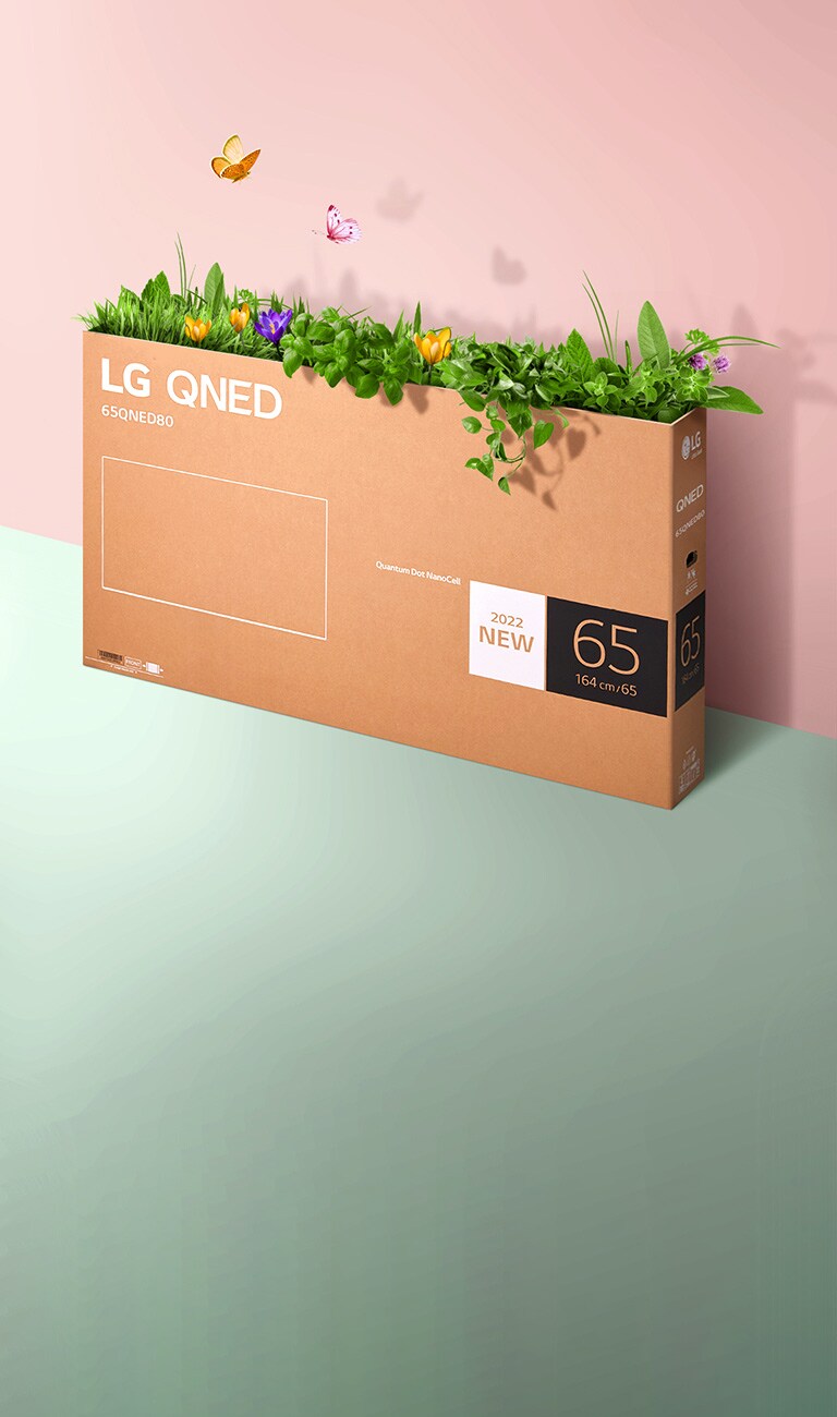 QNED iepakojuma kaste ir novietota uz rozā, zaļa fona, un no tās uz āru aug zāle un lido ārā tauriņi. 
