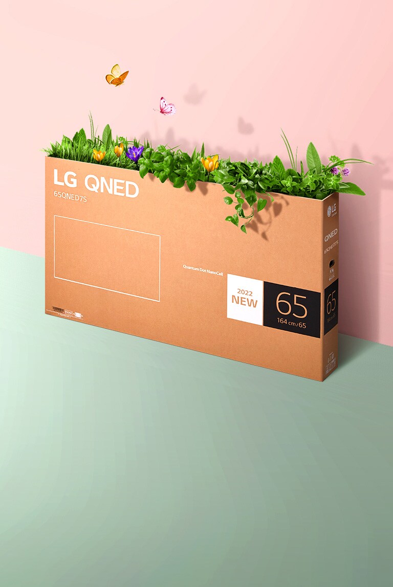 QNED iepakojuma kaste ir novietota uz rozā, zaļa fona, un no tās uz āru aug zāle un lido ārā tauriņi.