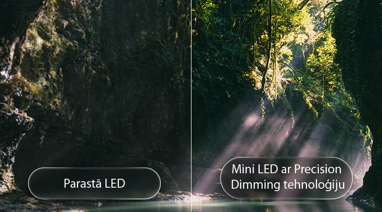 LG QNED evo AI QNED85 Mini LED izceļ Mini LED ar Precision Dimming tehnoloģiju sadalītā meža ainā, salīdzinot parasto LED ar dziļākiem melnajiem toņiem un izsmalcinātāku kontrastu, kamēr saules gaisma filtrējas caur kokiem, nodrošinot lielāku skaidrību un dziļumu.