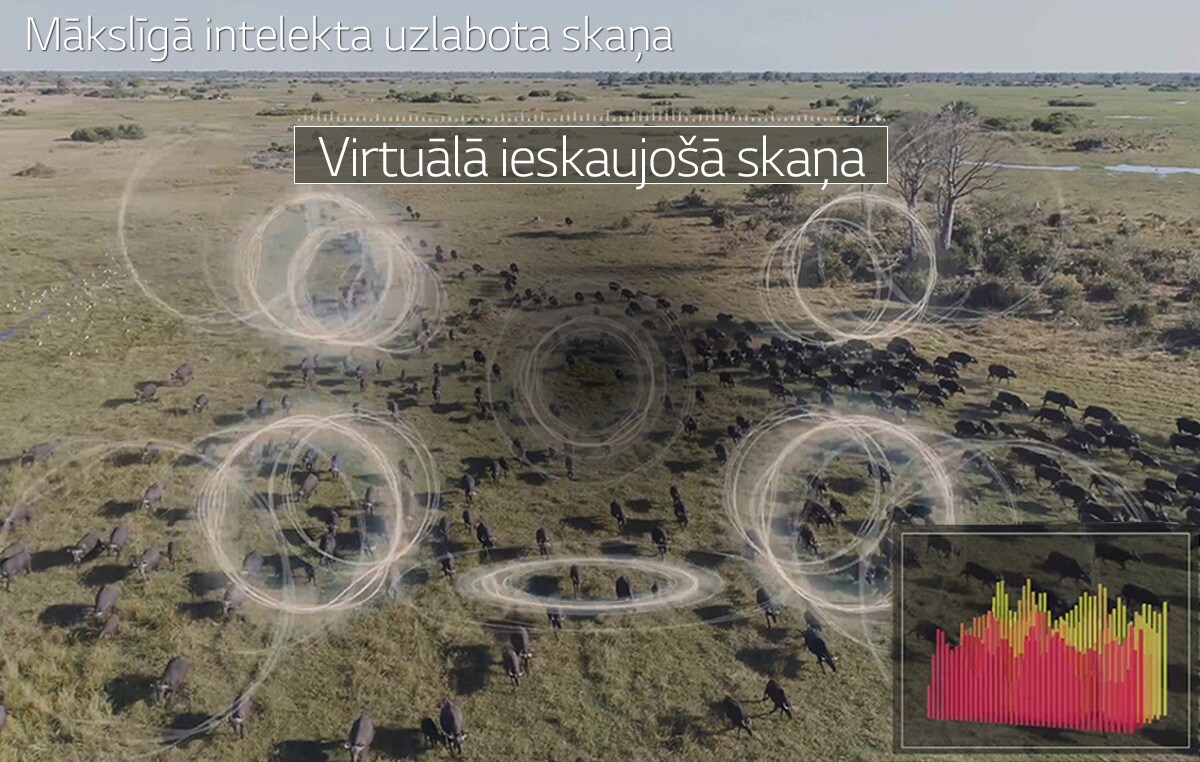 TV-Alpha7-06-AI-Sound-All-Thumbnail-Desktop_VV01