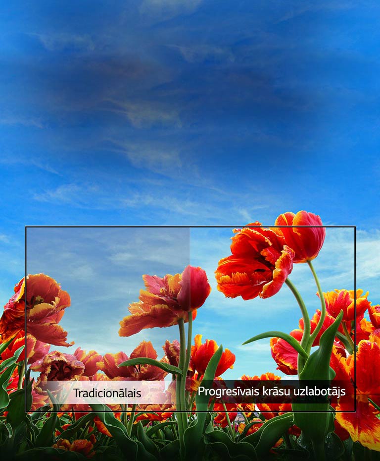 Dinamiskais krāsu uzlabotājs2