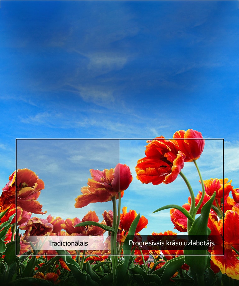 Dinamiskais krāsu uzlabotājs2