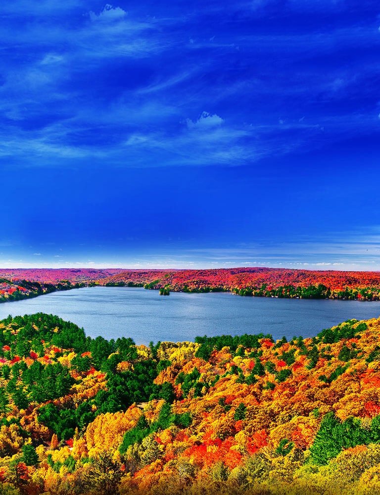 Četrkodolu procesors<br>Dabisku attēlu garants2