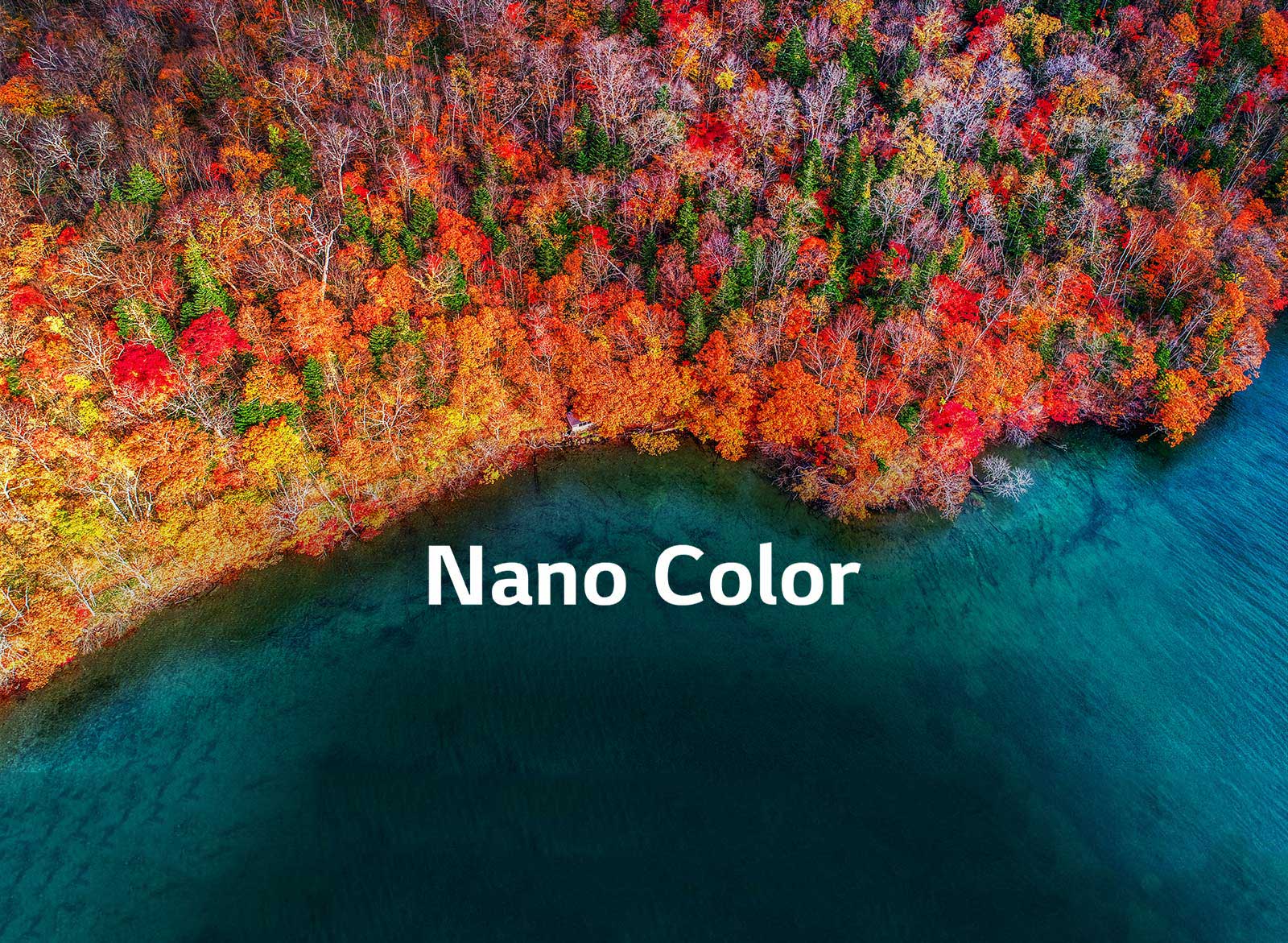 Izsmalcināta krāsu tīrība1