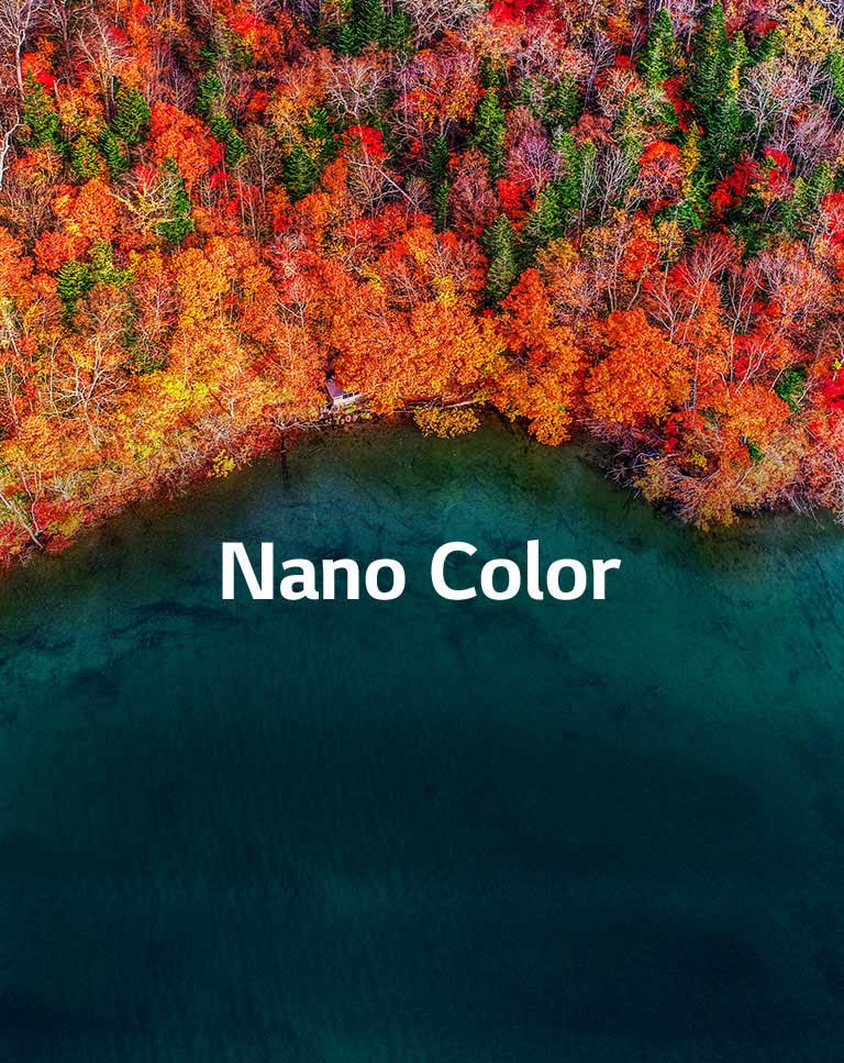 Izsmalcināta krāsu tīrība2