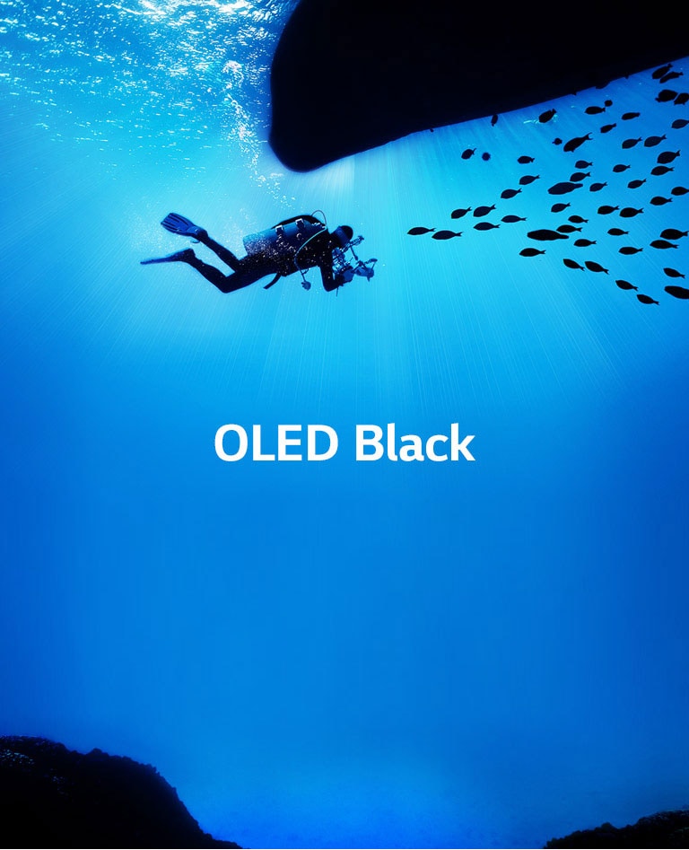 Perfekta melnā krāsa<br>atdzīvina attēlus2