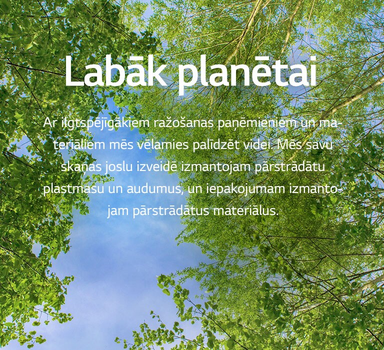 Zaļā attēlā redzami koši lapu koki, starp kuriem vīd debesis.