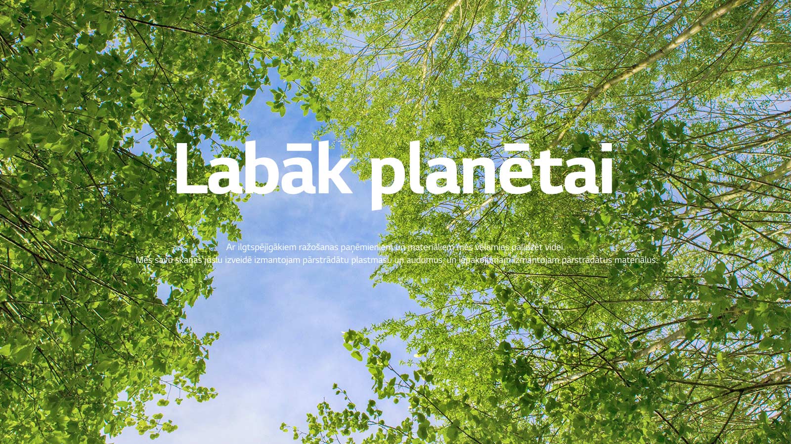Zaļā attēlā redzami koši lapu koki, starp kuriem vīd debesis.