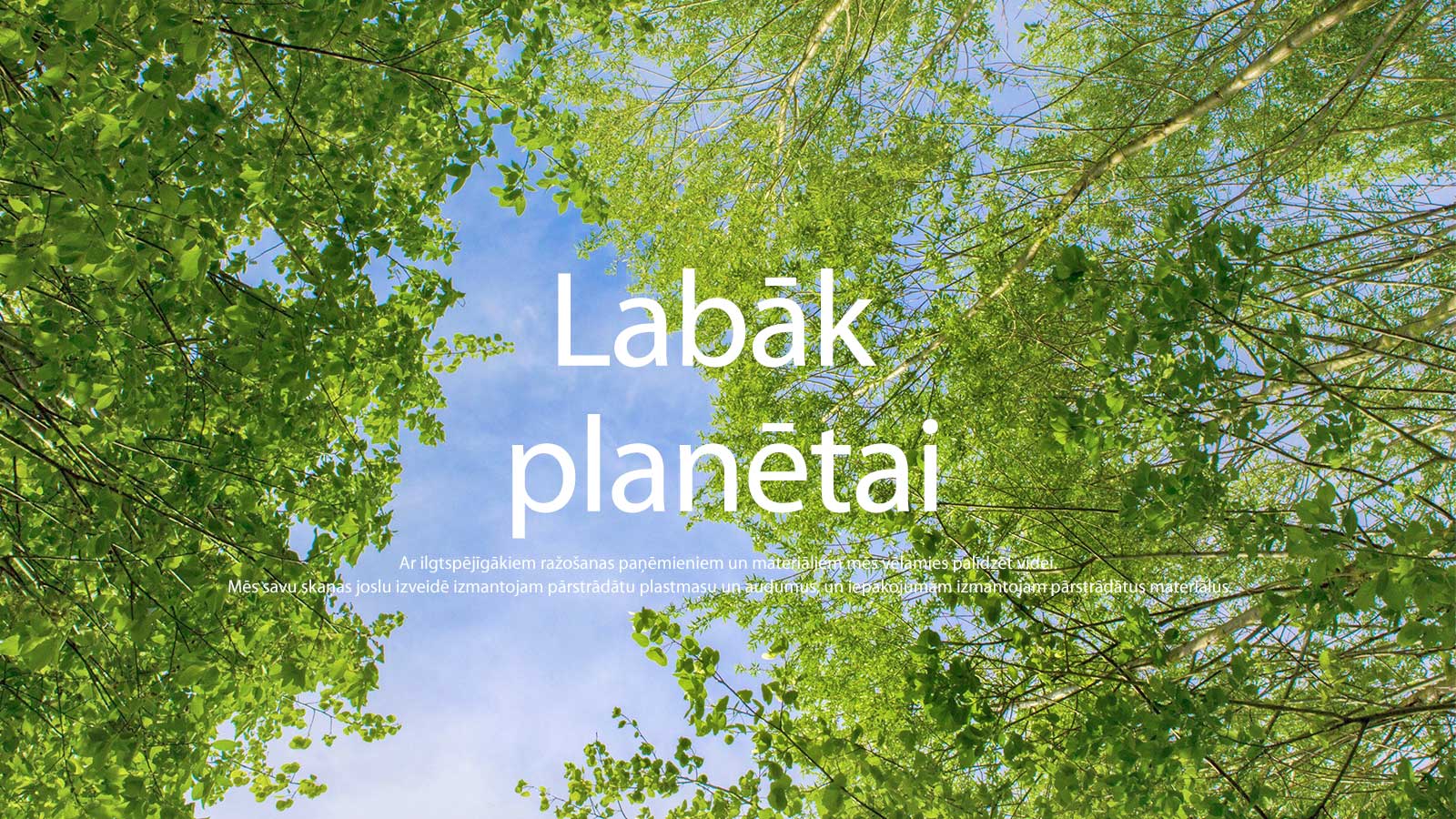 Zaļā attēlā redzami koši lapu koki, starp kuriem vīd debesis.