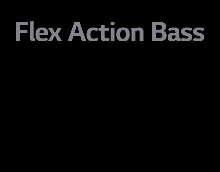 Teksts “Flex Action Bass”