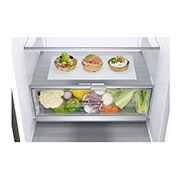 LG GBB7.sērijas 341L No-Frost ledusskapis, augstums 186cm, GBB71PZDZN, thumbnail 5