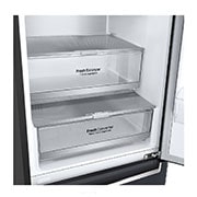 LG GBB9.sērijas 384L No-Frost Centum System™ ledusskapis, augstums 203cm, GBB92MCAXP, thumbnail 3