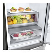 LG GBB7.sērijas 341L No-Frost ledusskapis, augstums 186cm, GBB71NSDFN, thumbnail 11