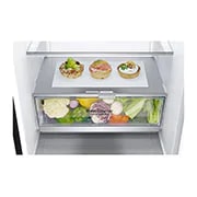 LG 7. sērijas 384 l No-Frost ledusskapis, augstums 203 cm, A+++ klases ledusskapis, GBB72MCVFN, thumbnail 4