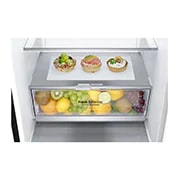 LG 7. sērijas 384 l No-Frost ledusskapis, augstums 203 cm, A+++ klases ledusskapis, GBB72MCVFN, thumbnail 5
