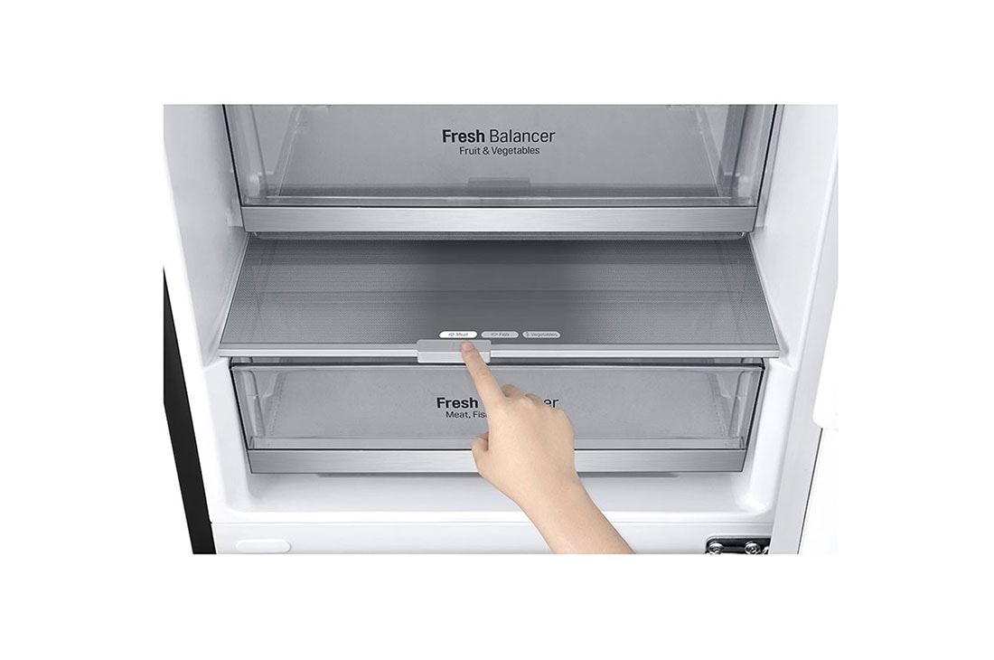 LG GBB7.sērijas 384L No-Frost ledusskapis, augstums 203cm, A+++ -10% klases ledusskapis ar Centum System™, GBB72MCDFN, thumbnail 5