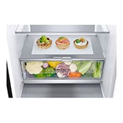 LG 7. sērijas 384 l No-Frost ledusskapis, augstums 203 cm, GBB72MCUGN, GBB72MCUGN, thumbnail 4