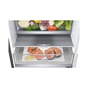 LG Ledusskapis | 2.03m | 384L | Pelēks | D klase | DoorCooling | Total No Frost | GBB72PZVGN, GBB72PZVGN, GBB72PZVGN, thumbnail 4
