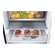 LG Ledusskapis | 1.86m | 344L | Melns | C klase | DoorCooling | Total No Frost | GBV7180CEV, inside view with food, GBV7180CEV, thumbnail 4