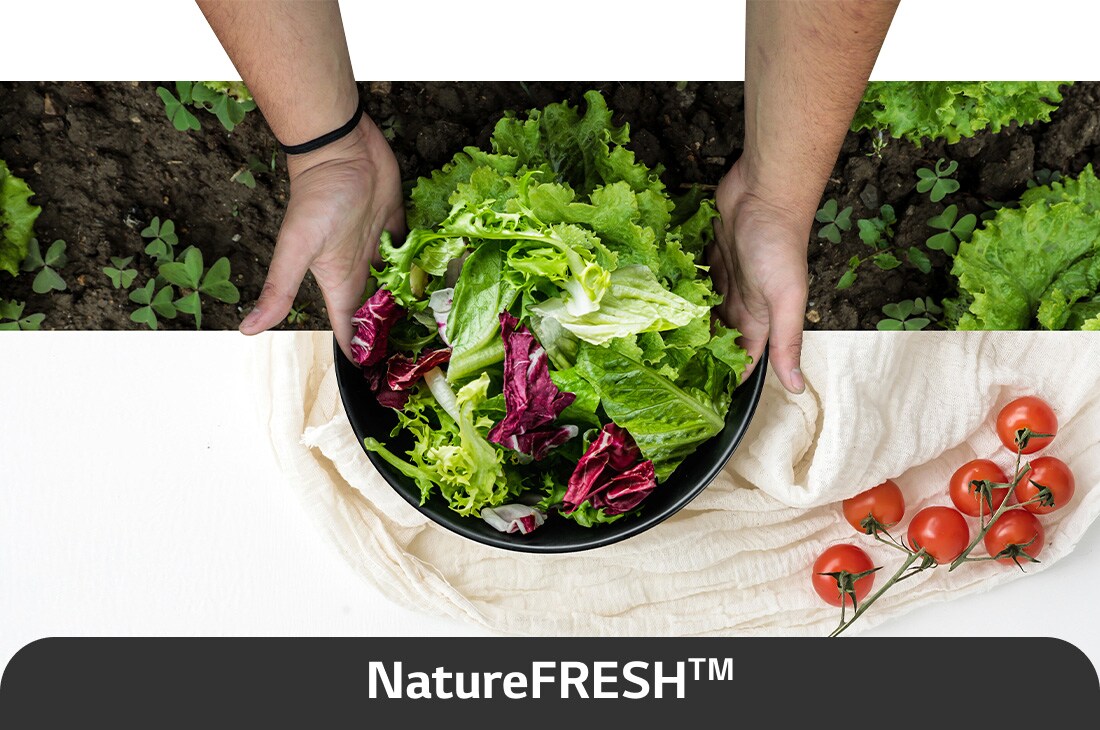 LG 344L apakšējā saldētava, melns stikls, LinearCooling™, DoorCooling+ ™, FRESHConverter™, USP attēls nature fresh, GBB72BM9CQ1, thumbnail 4