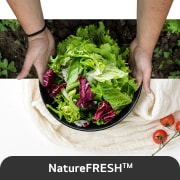 LG 344L apakšējā saldētava, melns stikls, LinearCooling™, DoorCooling+ ™, FRESHConverter™, USP attēls nature fresh, GBB72BM9CQ1, thumbnail 4