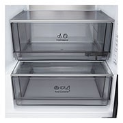 LG ledusskapis ar saldētavu apakšā | 1.86m | 333L | Melns | C klase | DoorCooling™ | FRESHBalancer™, GBBSJ1CCEP, thumbnail 6