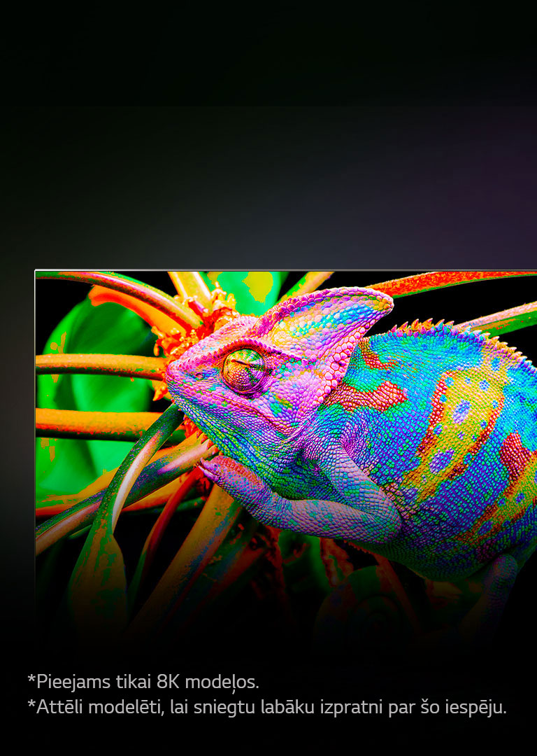 Ir redzams televizors, kurā tiek pietuvināti krāsaini hameleoni, lai detalizēti parādītu viņu ādu.
