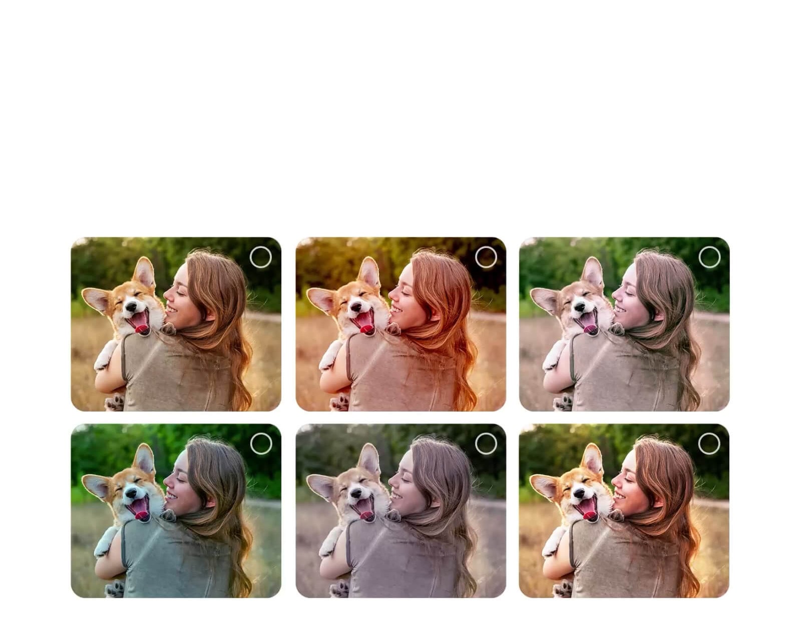 LG QNED evo AI QNED82 Mini LED ar AI Picture Wizard rāda vairākas vienas un tās pašas fotogrāfijas versijas, kas sakārtotas režģī, ļaujot lietotājiem izvēlēties vēlamās opcijas, kas vada personalizētu attēlu izveidi ekrānā.