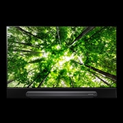 LG 65 collu OLED televizors, OLED65G8PLA, thumbnail 1