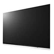 LG 55 collu OLED televizors, OLED55E9PLA, thumbnail 3