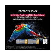 LG  55 collu LG OLED evo AI C5 4K viedtelevizors OLED55C51 2025, Dzīvojamā istaba ar pie sienas piestiprinātu LG OLED TV. TV ir redzama kalnu grēda pret tumšām vakara debesīm, kas pilnas ar zvaigznēm. Šis kadrs ir sadalīts uz pusēm, parādot, kā izcili melnā krāsa (, OLED55C51LA, thumbnail 8