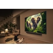 LG 43 collu LG QNED evo AI 4K viedtelevizors QNED86 2025, ģimenes, 43QNED86A3C, thumbnail 15