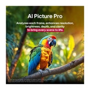 LG 50 collu LG QNED evo AI 4K viedtelevizors QNED86 2025, AI attēls Pro, 50QNED86A3C, thumbnail 10