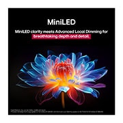 LG 100 collu LG QNED evo AI MiniLED 4K viedtelevizors QNED86 2025, 3D holographic flower in many different shades and hues against a black background. The definition and detail of the flower shows off QNED MiniLED's capability to produce visuals with exceptional colo, 100QNED86A6, thumbnail 3