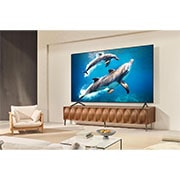 LG 85 collu LG QNED evo AI MiniLED 4K viedtelevizors QNED93 2025, Ģimene sēž uz dīvāna pretī LG QNED TV, kas sēž virs TV statīva, un maza meitene norāda uz ekrānu, kurā attēloti divi delfīni. Virsrakstā norāde par to, kā iespējams baudīt nevainojamu izšķirtspēju lie, 85QNED93A6A, thumbnail 13