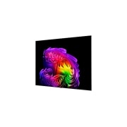 LG 97 collu LG OLED evo AI G6 4K viedtelevizors 2026, 97 collu LG OLED evo AI G6 4K viedtelevizors 2026, OLED97G61LW, thumbnail 7