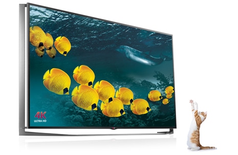 Patiesa krāsu precizitāte