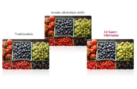 Dabiska izskata attēli1