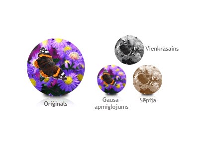 Funkcija Photo Effect1