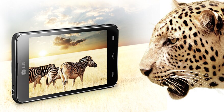 Dzīves patiesību attēlojošs IPS displejs