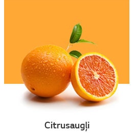 REF-NatureFRESH-Vplus-03-UsefulTips-04-3-Citrus-Fruits