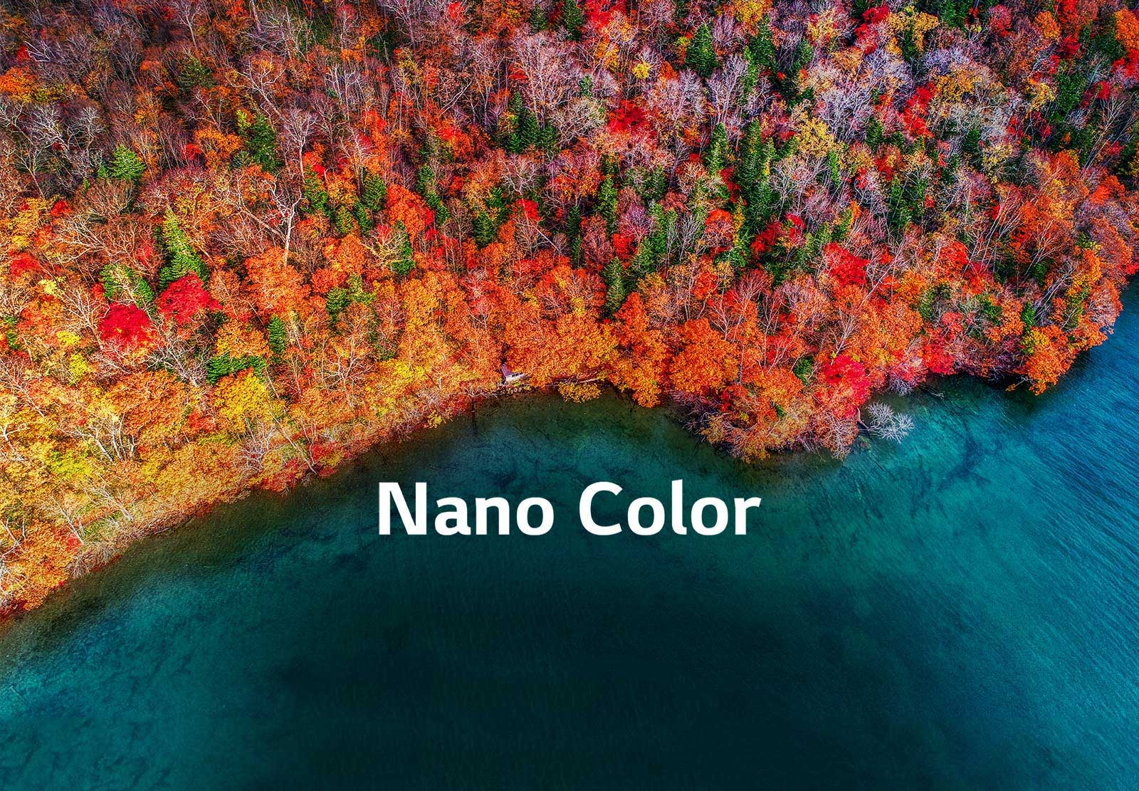 TV-NanoCell-SM81-02-Nano-Color-Desktop_V001.jpg