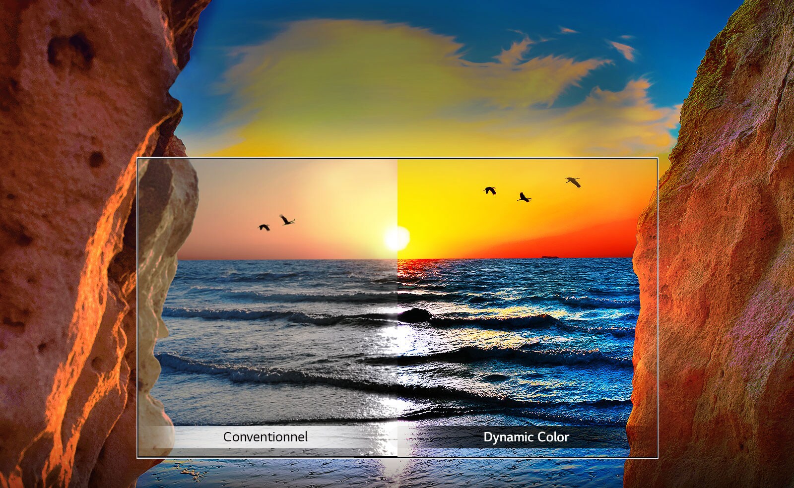 TV-UHD-UM74-Dynamic-Color-Desktop