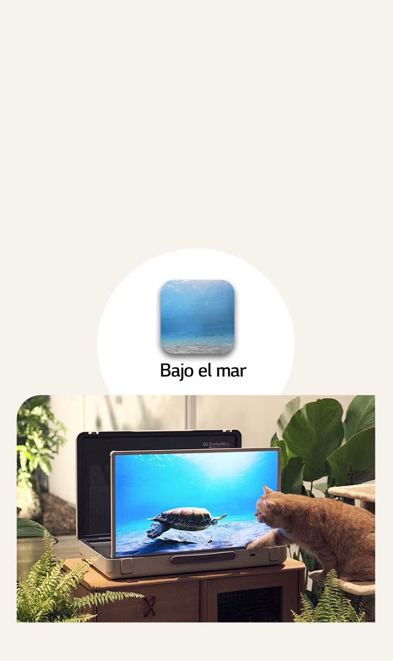 LG StandbyME Go está colocado en el jardín y la pantalla muestra bajo el mar. Frente a la  pantalla un gato está sentado frente al taburete, intentando atrapar una tortuga en la pantalla.