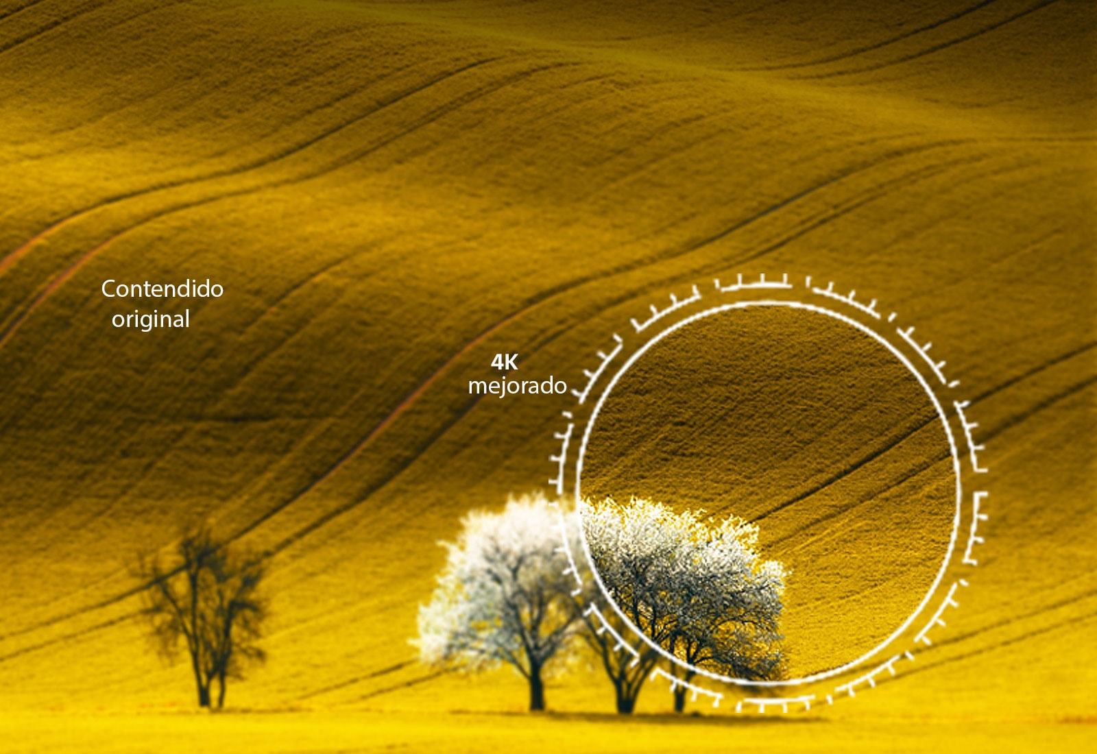 Una vista de la naturaleza, comparó la calidad de la imagen con el contenido que no es 4K y el contenido 4K mejorado.