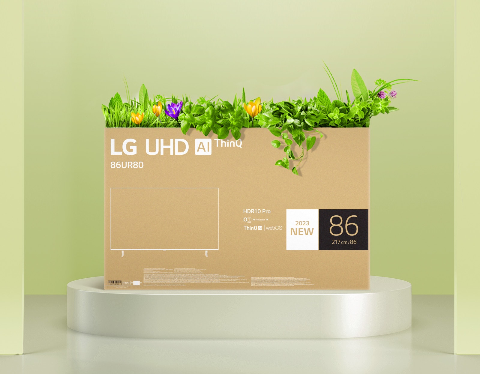 Empaque de cartón ecológico LG OLED representado alrededor de árboles y montañas.