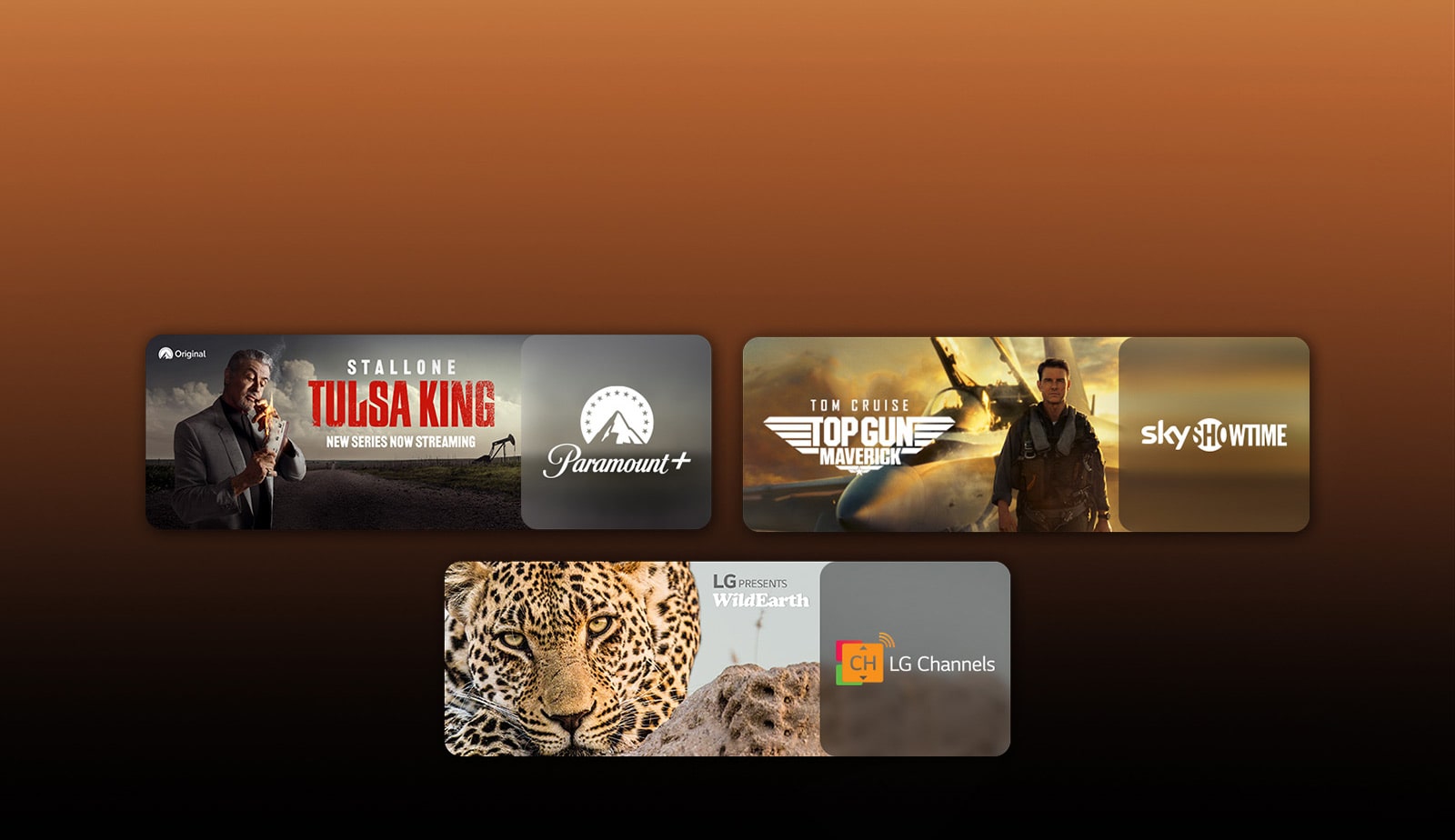 There are logos of streaming service platforms and matching footages right next to each logo. There are images of  Paramount+'s Tulsa King, sky showtime's TOP GUN, and LG CHANNELS' leopard.