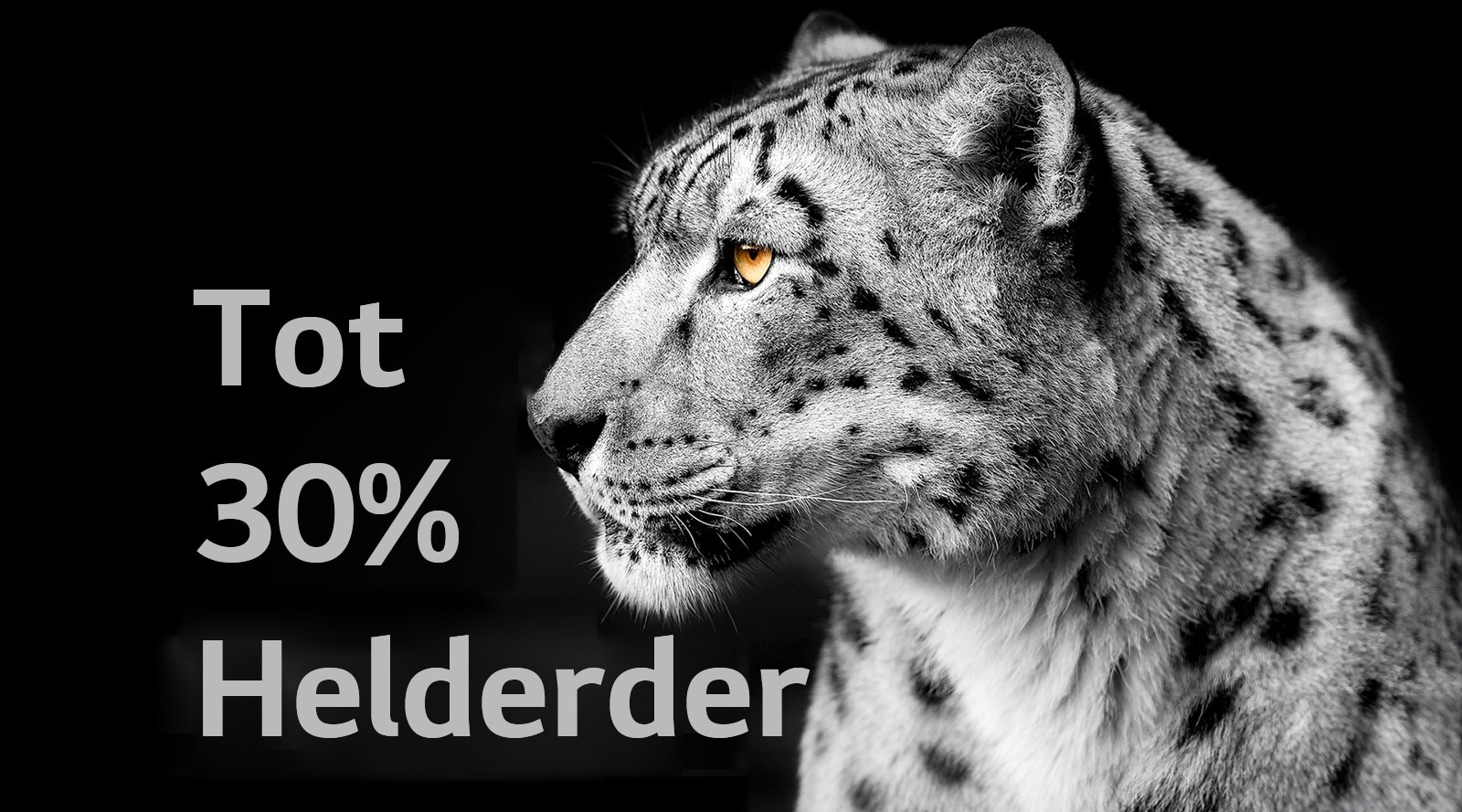 Een witte luipaard laat de zijkant van zijn gezicht zien aan de linkerkant van het beeld. De woorden “Up to 30% brighter” (Tot 30% helderder) worden links weergegeven.